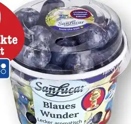 Scheck-in-Center SanLucar Heidelbeeren Angebot