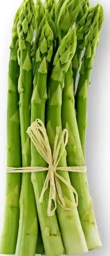 Scheck-in-Center Spargel Grün Angebot