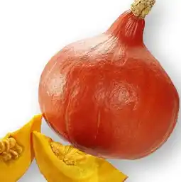 Scheck-in-Center Hokkaido Angebot