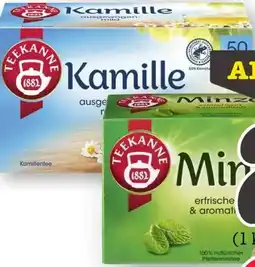 Scheck-in-Center Teekanne Tee XXL Angebot