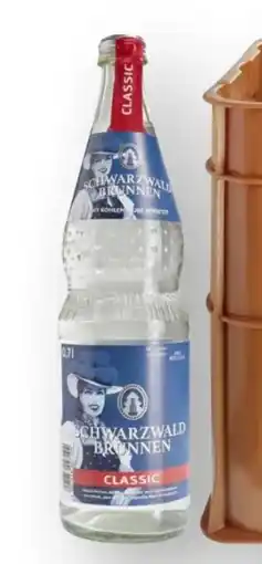 Scheck-in-Center Schwarzwald Brunnen Mineralwasser Angebot
