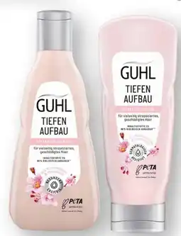 Scheck-in-Center Guhl Shampoo Angebot