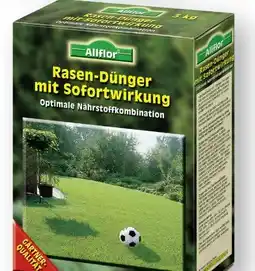 Scheck-in-Center Allflor Rasendünger Angebot