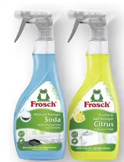 Scheck-in-Center Frosch Reiniger Angebot