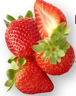 Scheck-in-Center Erdbeeren Angebot