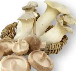 Edeka Unsere Heimat Echt & Gut Bio Shii Take Angebot