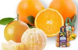 Edeka SanLucar Mandarinen Angebot