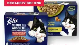 Scheck-in-Center Purina Felix Katzennahrung Angebot