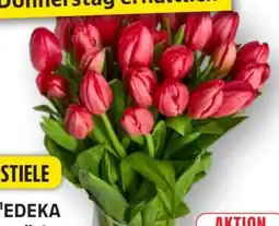 Edeka Edeka Herzstücke Tulpenstrauß Angebot