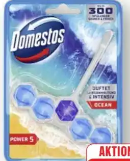 Edeka Domestos WC Steine Power 5 Angebot