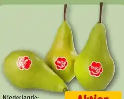 REWE Center Migo Tafelbirnen Angebot