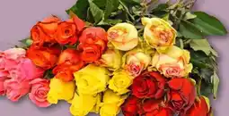 REWE Premium Rosen Angebot