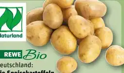 REWE Rewe Bio Bio-Speisekartoffeln Angebot