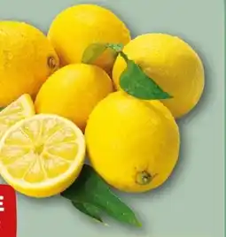 REWE Rewe Beste Wahl Zitrone Angebot