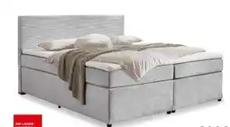 porta Quartier Möbel Boxspringbett Leia Angebot