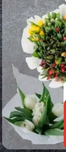 Edeka Frischemarkt Tulpen Angebot