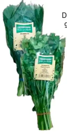 Edeka Herrmann Kräuter XXL Kräuterbunde Angebot