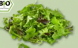 REWE Center Rewe Bio Crispy Salatmix Angebot