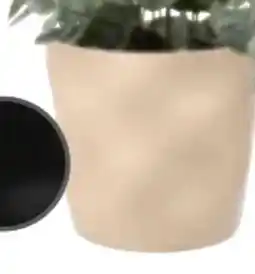 Mömax Übertopf Cashmere Angebot