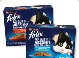 Budni Purina Felix Katzennahrung Angebot