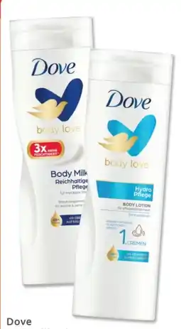 Budni Dove Body Milk Angebot