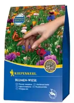 OBI Kiepenkerl Blumenwiese Mischung Angebot