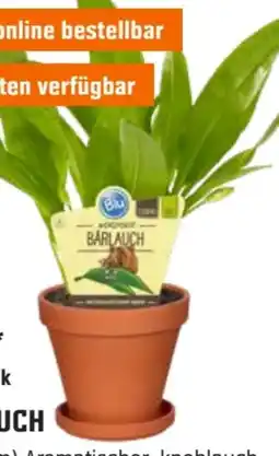OBI Blu Bio Bärlauch Angebot