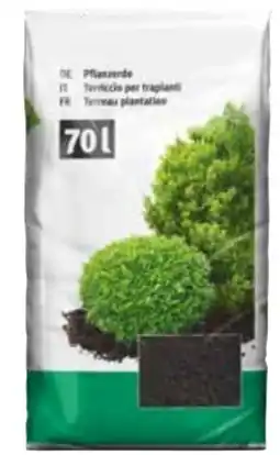 OBI Pflanzerde Angebot