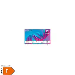 Netto Marken-Discount DYON Movie Smart 55 VX-2 Angebot