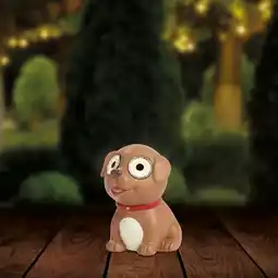 NKD Solar-Tierfigur mit Leuchtaugen, Höhe ca. 13 cm Angebot