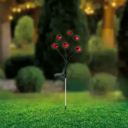 NKD Solar-Stab mit Erdspieß, ca. 72 cm Angebot