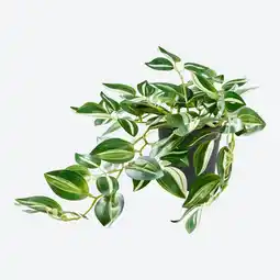 NKD Kunstpflanze im Topf, ca. 35 cm Angebot