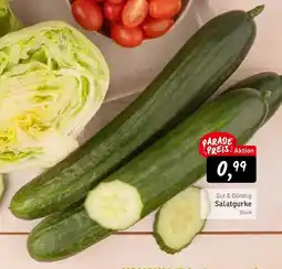 KONSUM Gut & Günstig Salatgurke Angebot