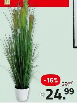 ROLLER Kunstpflanze Angebot