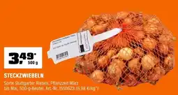 OBI Steckzwiebeln Angebot