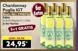 Norma Chardonnay Puglia IGT Angebot
