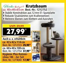 Norma Kratzbaum Angebot