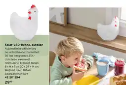 Tchibo Solar-LED-Henne Angebot
