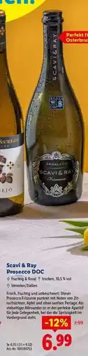 Lidl Scavi & Ray Prosecco DOC Angebot