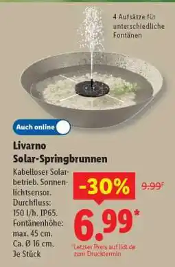 Lidl Livarno Solar-Springbrunnen Angebot