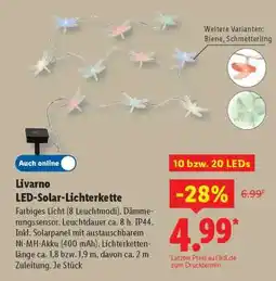 Lidl Livarno LED-Solar-Lichterkette Angebot