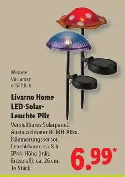 Lidl Livarno Home LED-Solar-Leuchte Pilz Angebot