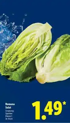 Lidl Romana Salat Angebot