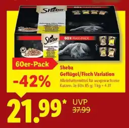 Lidl Sheba Geflügel/Fisch Variation Angebot