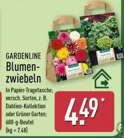 Aldi Nord GARDENLINE Blumenzwiebeln Angebot
