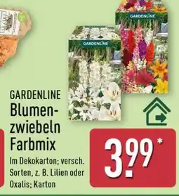 Aldi Nord GARDENLINE Blumenzwiebeln Farbmix Angebot