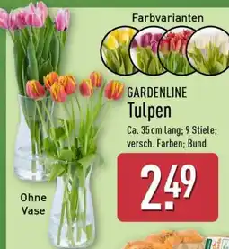 Aldi Nord GARDENLINE Tulpen Angebot