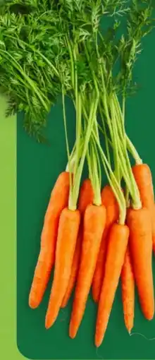 Aldi Nord Bundmöhren Angebot