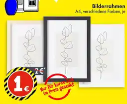 TEDi Bilderrahmen Angebot