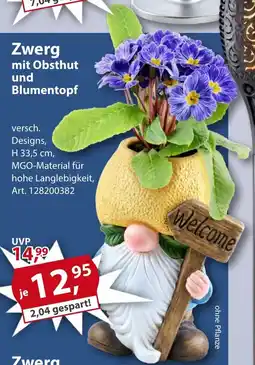 Sonderpreis Baumarkt Zwerg mit Obsthut und Blumentopf Angebot